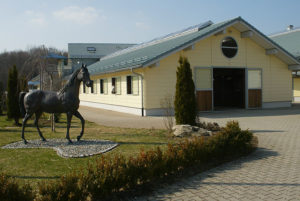 Kunstschmiede & Metallgestaltung Ernst Netzer